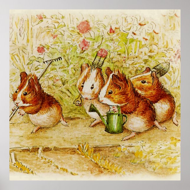 Eine Guinea Schweinegarten von Beatrix Potter Poster (Vorne)