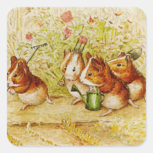 Eine Guinea Schweinegarten von Beatrix Potter Quadratischer Aufkleber