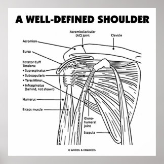 Eine gut definierte Schulter (anatomischer Spaß) Poster