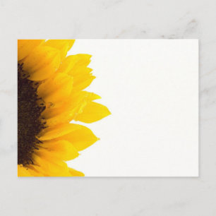 Eine halbe Sonnenblume Postkarte