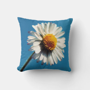 Eine helle, weiße Dämmerung unter einem großen bla Kissen