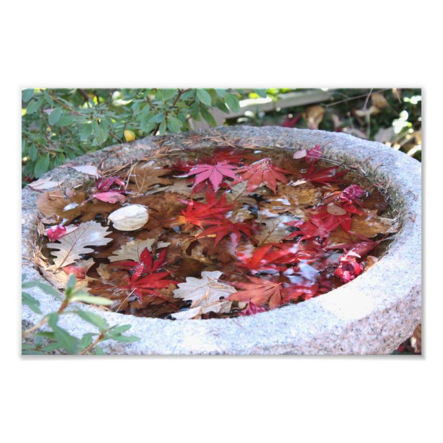 Eine Herbstserie Fotodruck (Vorne)