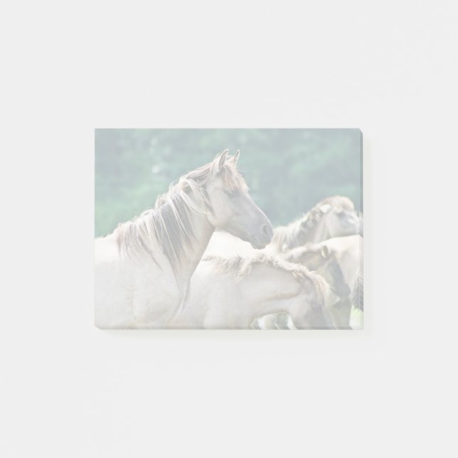 Eine Herde von Brumby Pferden aus Australien Post-it Klebezettel (Vorderseite)
