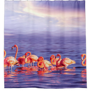Eine Herde von schönen rosa Flamingos gegen eine P Duschvorhang