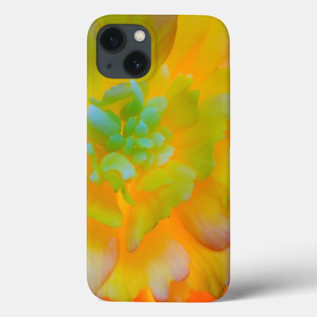 Eine hinterleuchtete, leuchtende Begonia-Blüte Case-Mate iPhone Hülle (Rückseite)