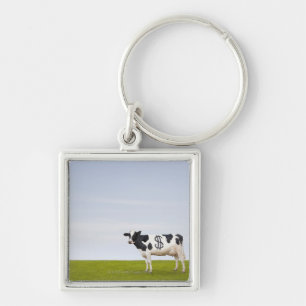 Eine Holstein-Milchkuh mit Stellen in Form Schlüsselanhänger