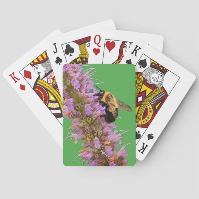 Eine Hummel und Anisysop Spielkarten (Rückseite)