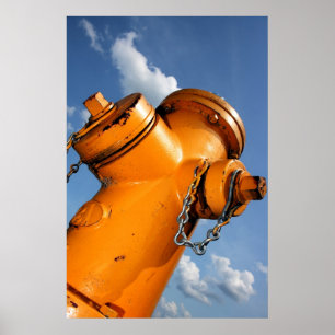 Eine Hundeperspektive Poster