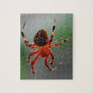 Eine hungrige Spinne wartet Puzzle
