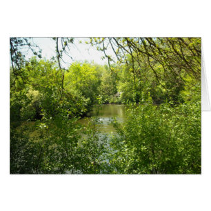 Eine Hütte versteckt