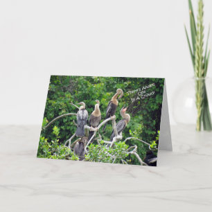 Eine in einer Menschenmenge - Anhinga Family Grußk Karte