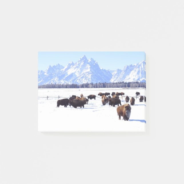 Eine interessante neue Post-it-Zettelart Post-it Klebezettel (Vorderseite)