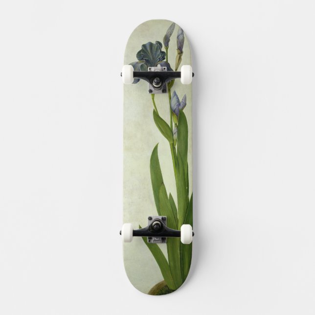 Eine Iris Skateboard (Vorderseite)