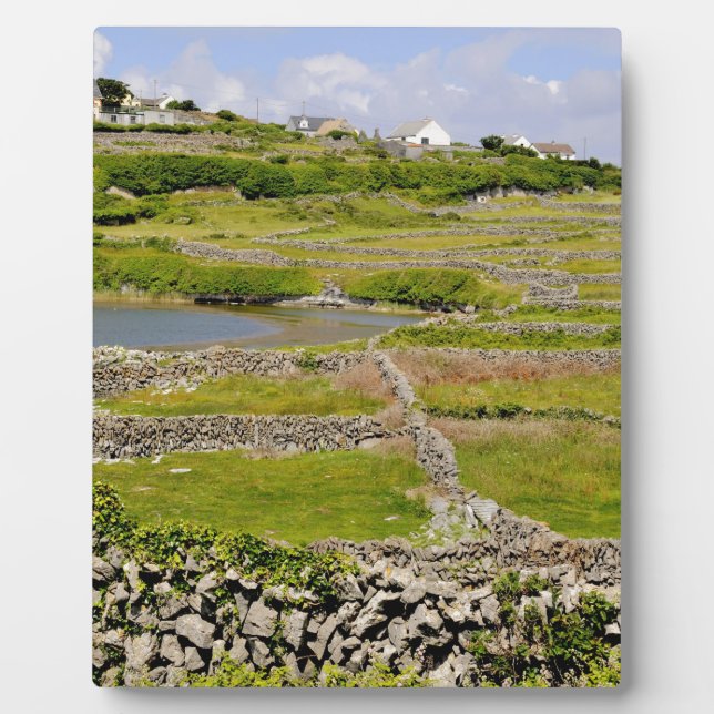 Eine irische Steinwand Fotoplatte (Vorderseite)