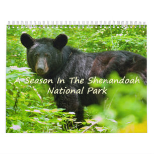 Eine Jahreszeit im Shenandoah-Nationalpark Kalender