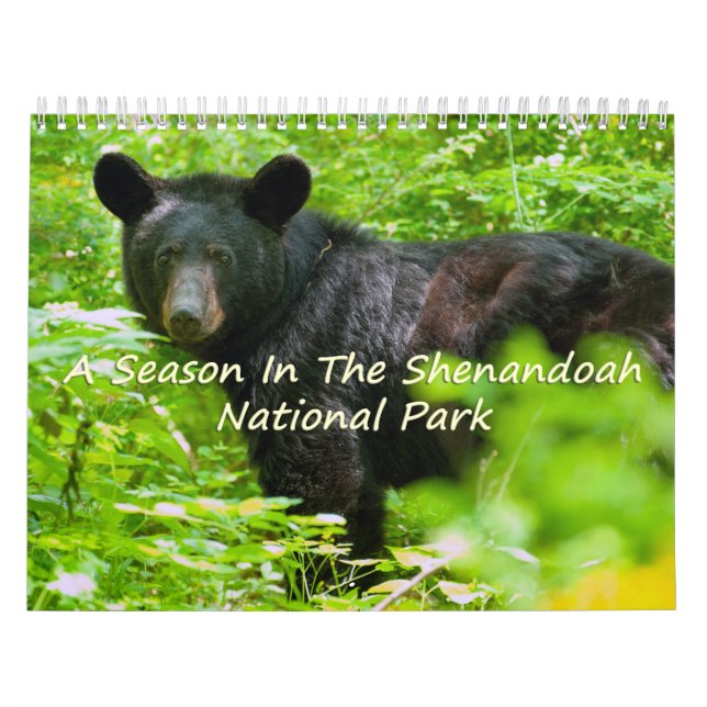 Eine Jahreszeit in Shenandoah Nat. Park-Vulkanvers Kalender (Titelbild)