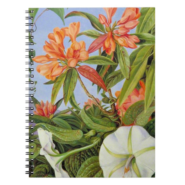 Eine Javan Rhododendrum und Ipomoea Notizblock (Vorderseite)