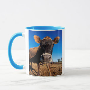 Eine Jersey-Kuh neugierig Tasse