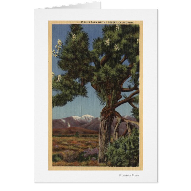 Eine Joshua-Palme in Bloom in der kalifornischen W (Vorne)