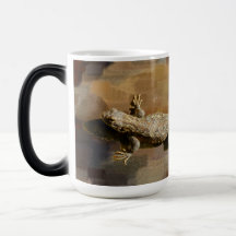 Eine Kaffeechse
