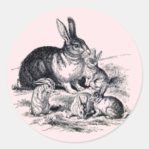 Eine Kaninchenfamilie - Vintage Abbildung Runder Aufkleber