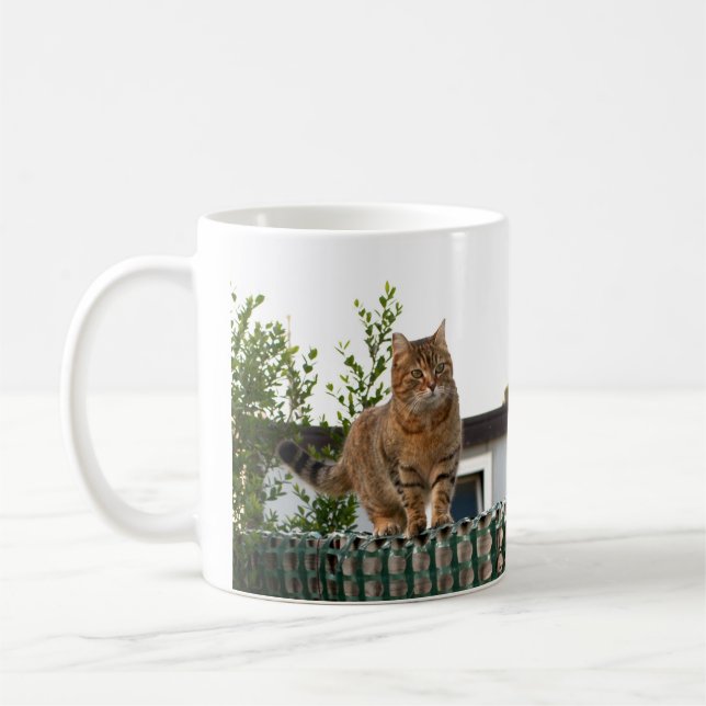 eine Katze auf einer Tasse (Links)