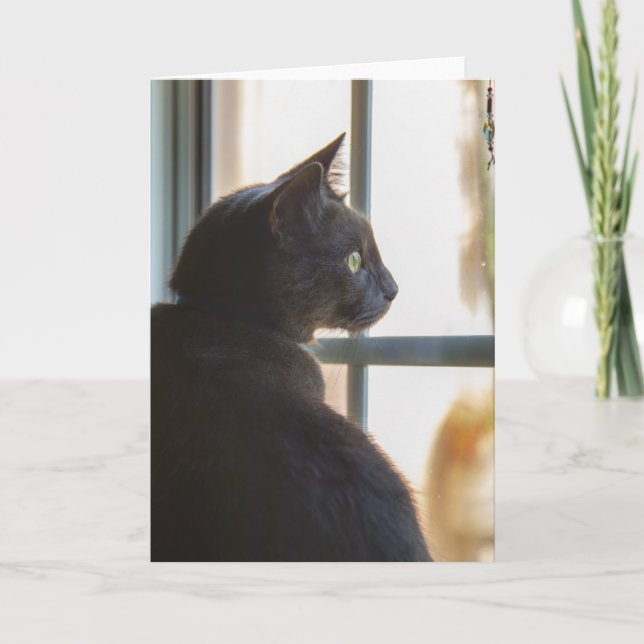 Eine Katze bietet hallo oder Beileid an Karte (Vorderseite)