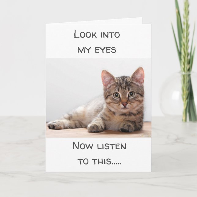 EINE KATZE, DIE GEFÜHLE HAT, SAGT "GLÜCKLICH GEBUR KARTE (Vorderseite)