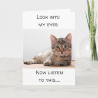 EINE KATZE, DIE GEFÜHLE HAT, SAGT "GLÜCKLICH GEBUR