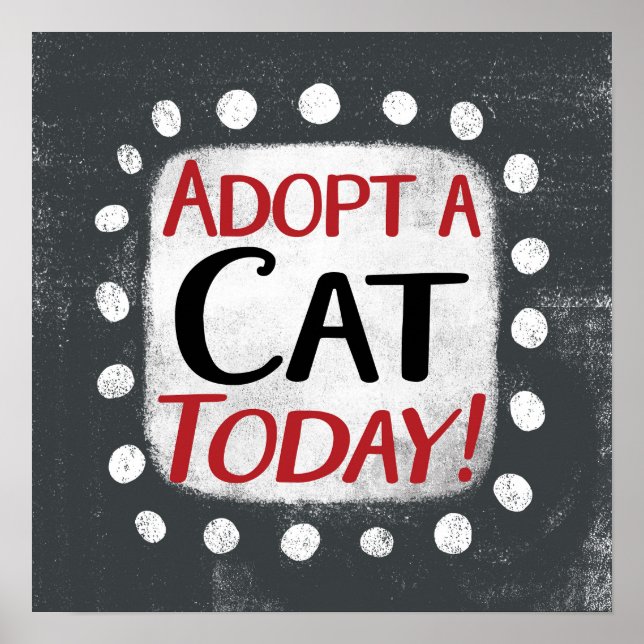 Eine Katze heute, ein Plakat der Wall Art adoptier (Vorne)