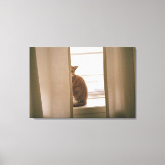 Eine Katze hinter den Vorhängen an einem Fenster Leinwanddruck