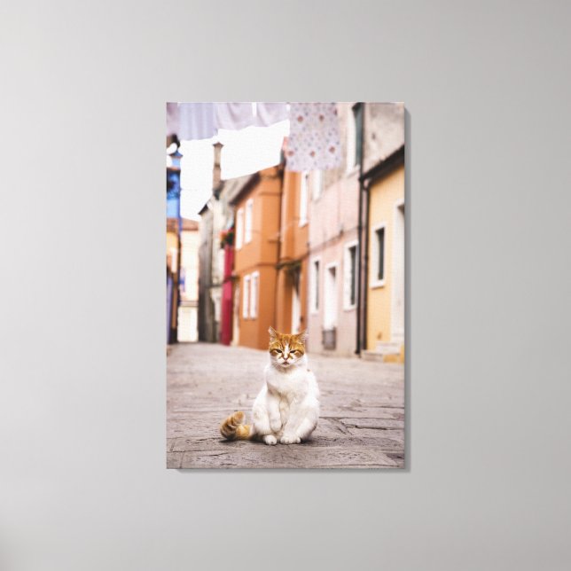 Eine Katze in den Straßen von Burano, Italien. 200 Leinwanddruck (Vorderseite)