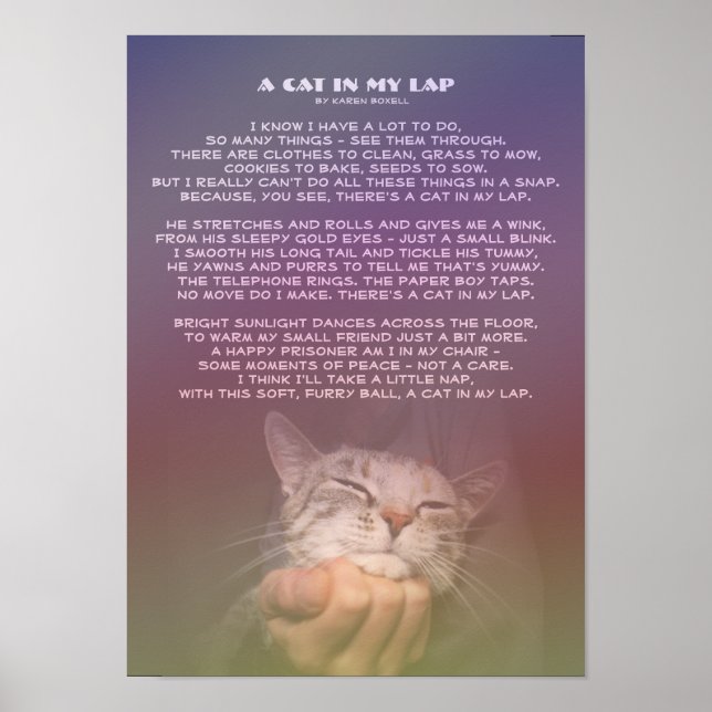 Eine Katze in meinem Schoß Poster (Vorne)
