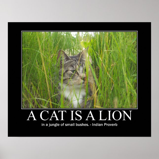 Eine Katze ist ein Lion Indian Sprichwort Poster (Vorne)