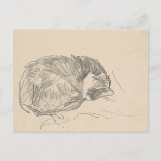 Eine Katze krummte auf, schläfend von Edouard Mane Postkarte (Vorderseite)