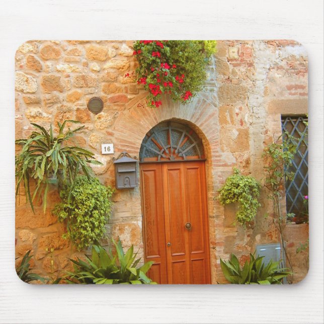 Eine Katze sucht Eintritt in die Zuhause in Pienza Mousepad (Vorne)