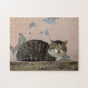 Eine Katze vor alter Mauer Puzzle