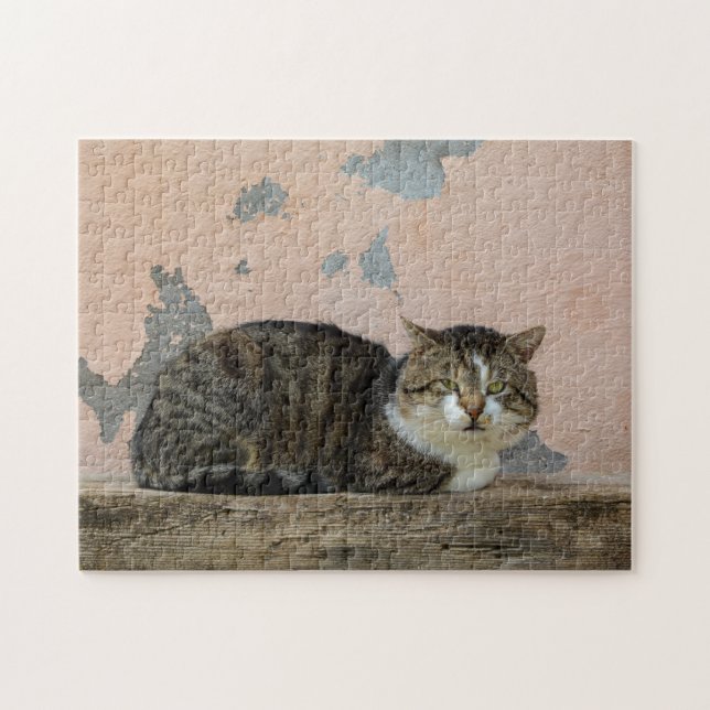Eine Katze vor alter Mauer Puzzle (Horizontal)