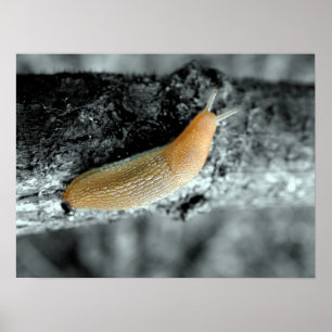 Eine klebrige Situation Poster