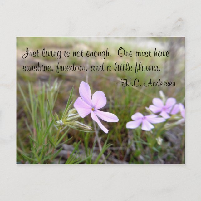 Eine kleine Blume Postkarte (Vorderseite)