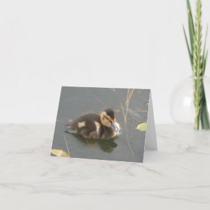 Eine kleine Duckling-Grußkarte Feiertagskarte