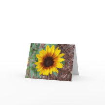 Eine kleine gelbe Sonnenblume im Blumengarten