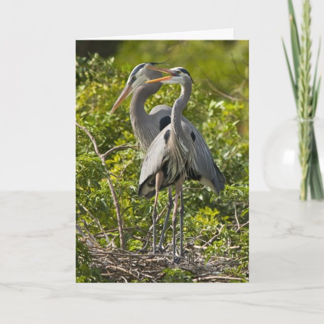 Eine kleine Piepmatz-Geburtstags-Karte Karte (Vorderseite)