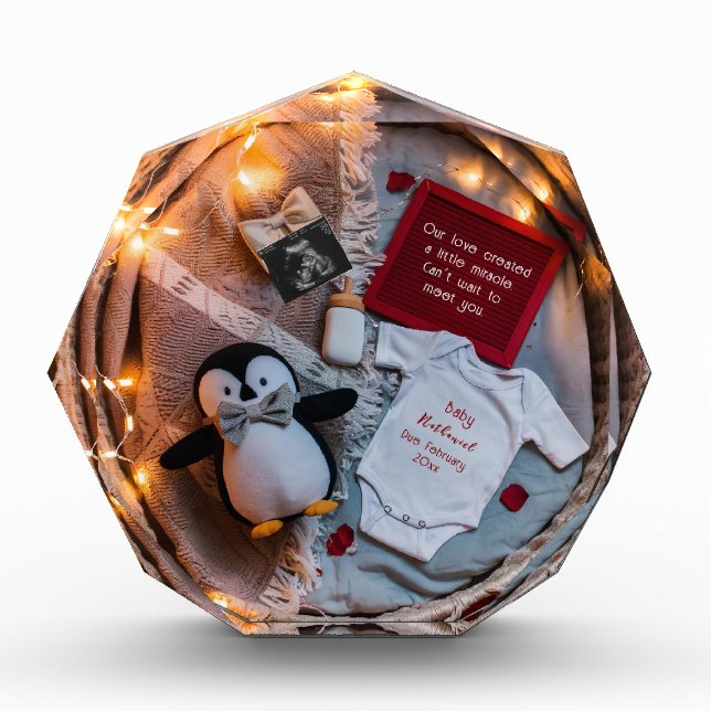 Eine kleine Pinguin-Liebe-Schwangerschaftsankündig Fotoblock (Vorderseite)