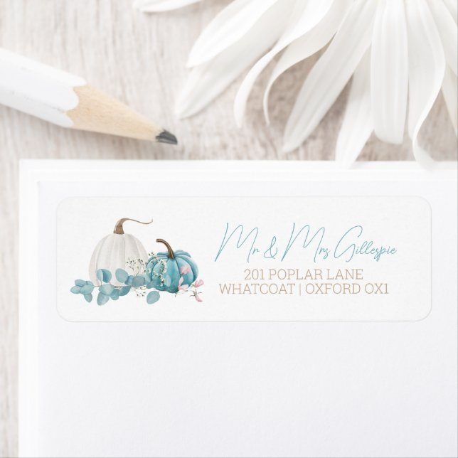 Eine kleine Pumpkin Fall Baby Dusche (Insitu)