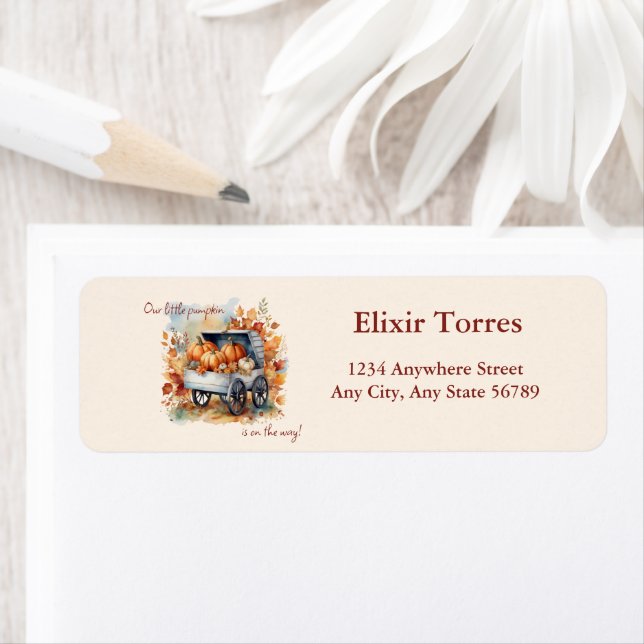 Eine kleine Pumpkin Fall Baby Dusche | Gender Neut (Insitu)