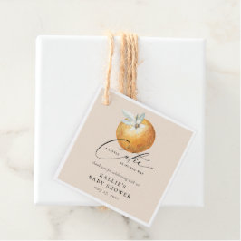 Eine kleine Süsse Citrus Orange Babydusche Geschenkanhänger