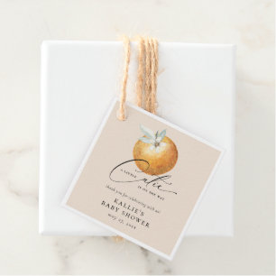 Eine kleine Süsse Citrus Orange Babydusche Geschenkanhänger