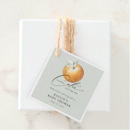 Eine kleine Süsse Citrus Orange Babydusche Geschenkanhänger