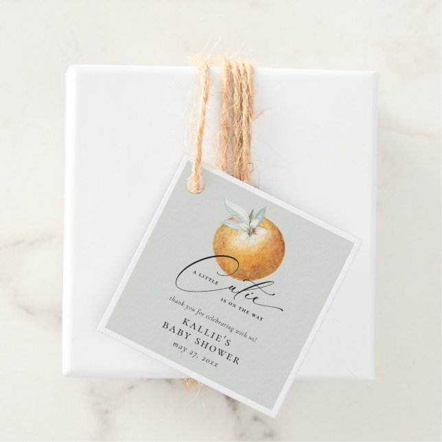 Eine kleine Süsse Citrus Orange Babydusche Geschenkanhänger (Beispiel)